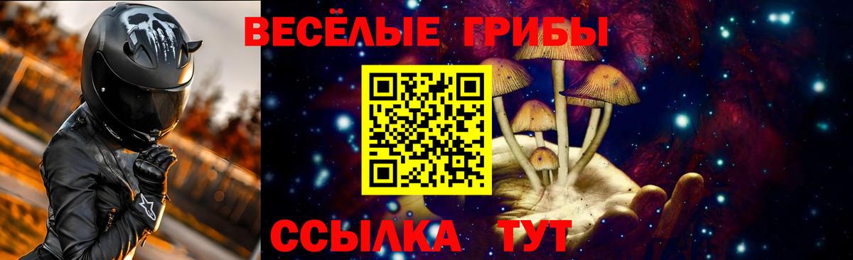 Астрахань  Галлюциногенные грибы Psilocybine cubensis  Вход с VPN 
